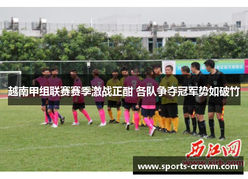 越南甲组联赛赛季激战正酣 各队争夺冠军势如破竹